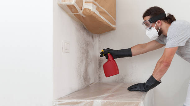 Professional Bathroom Mold Removal technician working in Fountain, NC