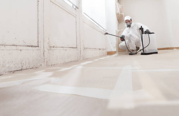 24/7 Emergency Bathroom Mold Removal experts in Fountain, NC