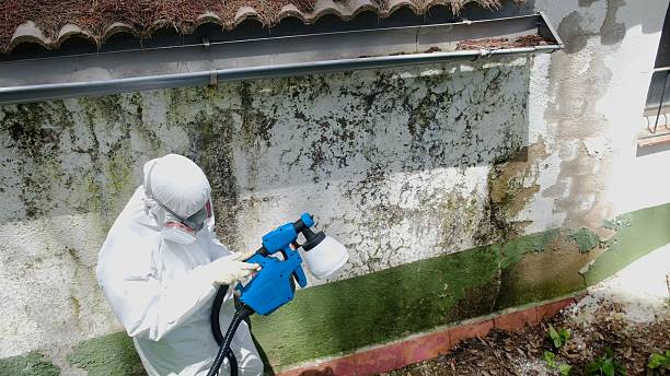 Trusted Bathroom Mold Removal service in Fountain, NC - Cheap Mold Removal